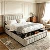 JiaOyu Letto matrimoniale con contenitore, letto 160x200 con contenitore moderno e accenti dorat, letto una piazza e mezza perfetto per camere da letto eleganti, velluto, senza materasso