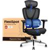 FLEXISPOT Sedia Ergonomica da Ufficio con Supporto Lombare a Doppia Ala, Poggiatesta e Braccioli 3D, Seduta Regolabile, Schienale Reclinabile a 3 Livelli, Altezza Regolabile, Colore Nero
