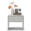 Regalik Comodino PARI Con Cassetto 50 x 45 x 35 cm - Moderno in Cenere Con Guide a Sfera Tip On
