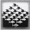 LVTFCO Il Famoso M.C. Poster di Escher《Cielo e Acqua》Arte da Parete su Tela M.C. Escher Stampa M.C. Quadro Escher per Decorazione da Parete per Ufficio, 40 x 40 cm x 1, Senza Cornice