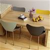 Rcynview 4 Sedie Sala da Pranzo Impilabili, Sedia per Casa Soggiorno, Multicolore 2 | 45x40x82cm Sedia è Dotata di uno Schienale Flessibile e Curvo, Gambe Della Sedia Color Argento con Cuscinetti Antiscivolo