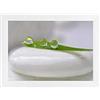 Online-GalleryKing Cornice Foto 47.5 x 32 cm Cornice per Poster Puzzle Collage di Foto Colore Bianco Opaco in Vetro antiriflesso e Cornice in MDF da 35 mm