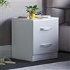 Vida Designs Comodino lucido (bianco, 2 cassetti)