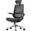 SIHOO M59AS Sedia da Ufficio Ergonomica, con braccioli ribaltabili 3D, doppio schienale e supporto lombare adattivo, sedia in rete ideale per l'ufficio a casa(Nero)