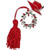 Doni Bomboniere Laurea 12PZ Ciondolo con Corona D Dottorato Master Argento Nappina E Tocco Rosso Segnaposto Magistrale Appendino Idee Regalo Complete Originali Economiche