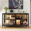 DEZAGCE Vetrina credenza in vetro, credenza in vetro a 2 ante con telaio in ferro, vetrina in vetro con strisce luminose a 3 colori, 40 x 140 x 75 cm, nero