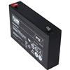 FIAMM Batteria al piombo ricaricabile FG10721