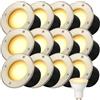 Partenopea Kit 12 Faretti Calpestabili da Incasso IP65 con Attacco GU10 per Esterni Giardini Vialetti Sentieri in Acciaio Inox con Controcassa, Compatibili Lampade 220V (Luce calda 3000K)