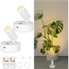 Lobolighting Set di 2 faretti LED ricaricabili con telecomando, a batteria, senza fili, illuminazione interna a timer, lampada da parete dimmerabile per opere d'arte vegetali