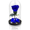 Aluisi Fiori - Rosa Stabilizzata Blu con LED - Rosa Eterna Stabilizzata - Rosa Stabilizzata Vera in Cupola di Vetro - Fiori Stabilizzati - Regalo per Mamma - Made in Italy
