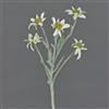 artplants.de Stella Alpina Artificiale Sophia con 5 Fiori, Bianco, 40cm - Stella Alpina Finta/Fiore Finto