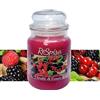 Magazzini GM RESPIRA Candela Profumata, Aroma Frutti di Bosco, 500g, Durata 100h, Giara di Vetro Elegante con Coperchio, Stoppino in Cotone, Made in Italy
