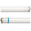 Philips Actinic BL TL-DK Secura 36W/10 1SL/25