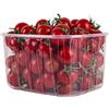 LOGISTIC & TRADE Vaschette in Plastica in PP mm 170x135x95 Contenitore da 1 Kg Per Frutta ed Ortaggi Pezzi 720