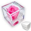 Premium-rose.com OneFlower by PREMIUM-ROSE Cubo Rosa Stabilizzata 5 cm profumata con Base scaglie di Marmo Bianco di Carrara, Idea regalo per ragazze, bomboniera bambina, bomboniera Femmina - Rosa 1055
