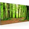 Runa Art Quadri Moderni Foresta paesaggio Tela Non Tessuta Soggiorno Corridoio Natura Verde 610912b