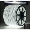 puntoluceled Striscia LED Tripla Siliconata IP65 da Esterno 180 LED/metro 20 metri Luce Bianca Fredda 6500K - Bobina per giardino, sentieri e segnapasso