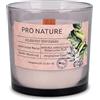 seit 1744 müller KERZEN Müller Kerzen PRO NATURE Candele Profumate in Vetro Grigio con Stoppino in Legno - Cera Bianca e Oli di Colza Naturali alla Betulla & Erbe aromatiche - Durata Fino a 40 Ore - 100% Vetro Riciclato