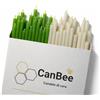 CanBee Candele di cera 50 Candele Sottili Verdi e Bianche - Crescita e Prosperità in Cera d'Api 100% Naturale 16cm x 5mm, 40 Minuti Senza Fumo e Senza Gocciolamenti - Ideali per Rituali di Prosperità e Meditazione - CanBee
