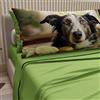 PETTI Artigiani Italiani - Lenzuola Animali con Cani in Cotone con Federe in Stampa Digitale, Lenzuola Letto Singolo, Completo Letto Singolo Verde, 100% Made in Italy