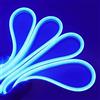 Teramo led Striscia Neon 5 Metri 12V IP65 Impermeabile Blu