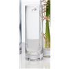 Sandra Rich - Vaso cilindrico trasparente "Solifleur", 18 cm, taglio freddo, diametro 6 cm