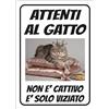 MAURIX Cartello Attenti al Gatto Personalizzato 18x25cm, Made in Italy - Targhetta Personalizzabile con Foto, Cartello in Forex Rigido 3mm - Protezione UV e Colori Vividi (NON È CATTIVO, È SOLO VIZIATO)