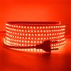 HEGEHE - Striscia LED 220V [0.5M, Rosso], Impermeabile IP65, SDM2838, 120 LEDs/m Nastri LED Tagliabile e Flessibile CRI85+, Decorazione per Casa e Negozio