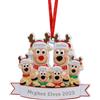 Kaululu Addobbi Natalizi per Albero Personalizzato con Nome Natale 2025 Decorazioni Casa, Albero di Natale Ciondolo in Resina Regali Natale (C, 6 Nomi)
