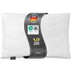 Lileno Home Imbottitura per cuscino, 50 x 30 cm, set da 1 pezzo, cuscino interno trapuntato, per chi soffre di allergie, in microfibra, come cuscino decorativo e cuscino da divano, lavabile a 40 °C