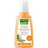 Rausch Shampoo Nutriente al Germe di Frumento 200 ml per Capelli Secchi e Stressati dal Sole