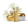 O Boticário Lily | Set regalo 3 prodotti | Profumo + Crema + Olio | Set regalo 3 Prod. Profumo EDP 75 ml + crema 250 g + olio 150 ml | aroma fiore di giglio | idratazione 48 ore | vegano