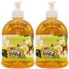FEI FAN Sapone Mani Dispenser All'Olio Di Cocco, Indicato Per Ogni Tipo Di Pelle. Delicatamente Profumato, Lascia Una Sensazione Di Morbidezza Sulle Mani 500ml (2 Unità)