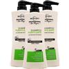 FEI FAN Shampoo PURIFICANTE Con Estratto Di Limone, Per Capelli Grassi. Sebo-Normalizzante, 5 Azioni 400ml (3 Flaconi)
