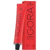Schwarzkopf Professional Schwarzkopf Igora Royal 6-63 - Dark Blonde Chocolate Matt Colour / Tint 60ml Tube by Ignora Royal
