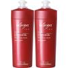 FEI FAN HYDROFLUID GEL Capelli a Fissaggio Normale. Fissa e Definisce La Tua Acconciatura, Con Diamantite, Vitamina Complex e Filtri UV. Per Un Effetto Bagnato 200ml (2 Flaconi)
