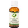 R V Essential Olio essenziale assafetida | Olio Heeng | Ferula Assa | Olio Asafoetida | 100% naturale puro | Distillato a vapore | Grade terapeutico | Asafoetida Essential Oil | 5ml | 0.169oz By R V Essential
