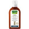 RAUSCH Original Haartinktur wirkt dem Haarausfall aktiv entgegen und revitaliiert die Kopfhaut, 200 ml Soluzione