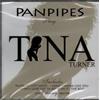 Panpipes Play Tina Turner