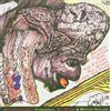 Nocturne GO FER YER FUNK -10TR-