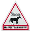 Lami-Cell Umbria Equitazione Cartello Trasporto Cavalli