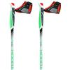 TSL Bastoncini Nordic Walking