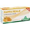 SPECCHIASOL SRL PAPPA REALE PLUS 12FLX10ML SPECC