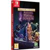 MICROÏDS Il Dungeon Master di Naheulbeuk - Gioco per Nintendo Switch - Edizione limitata