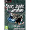 Ikaron Bungee Jumping Simulator [Edizione: Regno Unito]