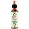 SCHWABE PHARMA ITALIA Centaury Bach Orig 20 Ml