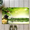 OHJEAJDS Tappeto Bagno - Tappeto multiuso antiscivolo per ingresso,cucina,camera,bagno,Soffice Tappeto Doccia,Spa, meditazione e zen Foto di steli di bambù Candela e pietre di basalto Terapi,60x100cm