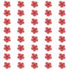 QUARKZMAN 40 Pezzi Fiori Pressati E Essiccati 0.24-0.31 Fiori Di Narciso Colorati Per Nail Art Resina Gioielli Candele Decorazione Carte Album Fotografico Cover Telefono Cremisi