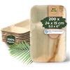 BIOZOYG Palmware - Vassoio da pasto monouso da 200 pezzi realizzato in foglia di palma rettangolare 24x15cm con 2 scomparti separati I bio da tavola monouso biodegradabile