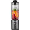 nutribullet Frullatore portatile Flex NBPB50200, Grigio canna di fucile